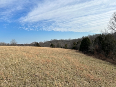 2.2+/- Acre Building Lot - Utilities Avail. - Liberty, Ky. - image 4