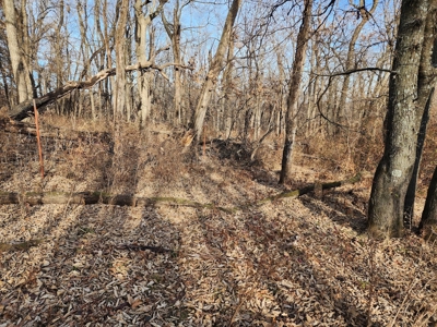 Land For Sale - image 6
