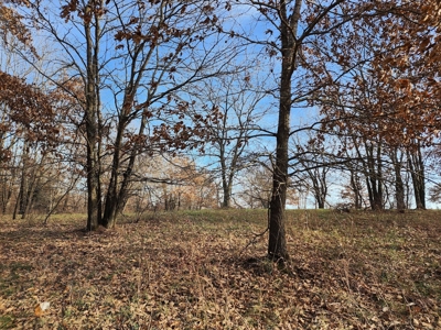 Land For Sale - image 13