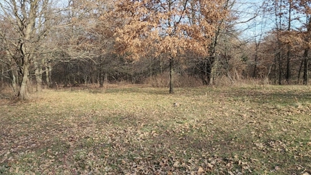 Land For Sale - image 14
