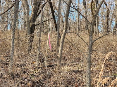 Land For Sale - image 18