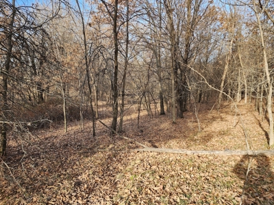 Land For Sale - image 11