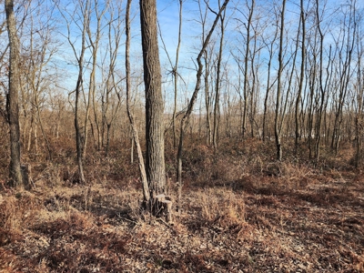 Land For Sale - image 4