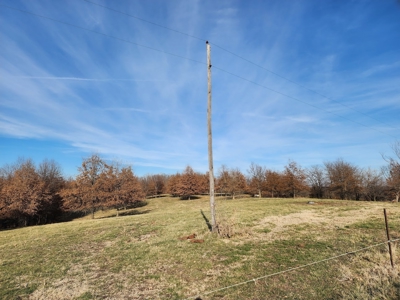 Land For Sale - image 1