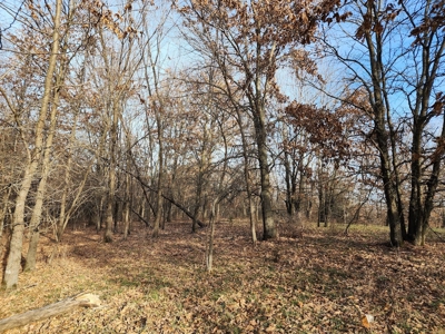 Land For Sale - image 12