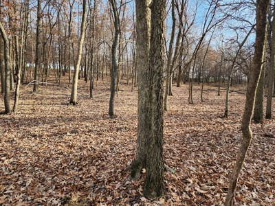 Land For Sale - image 10