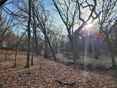 Land For Sale - image 9