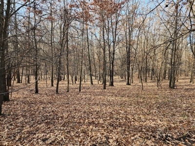 Land For Sale - image 7