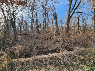 Land For Sale - image 19
