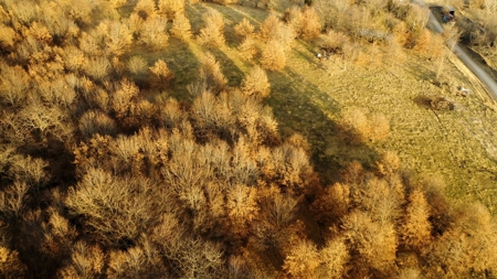 Land For Sale - image 21