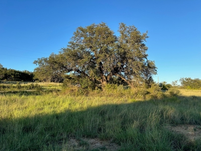 Resort Home Lot 949 at Lake Brownwood The Hideout GolfCourse - image 34