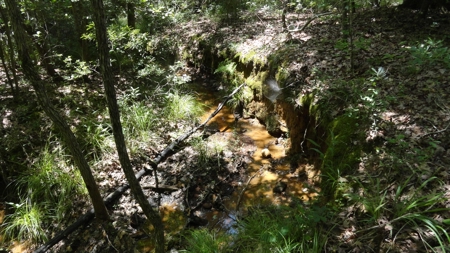 East Texas Hunting/Recreational Property - image 20