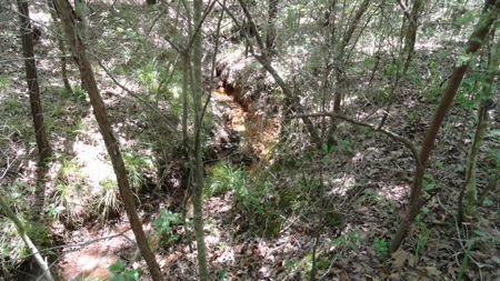East Texas Hunting/Recreational Property - image 19