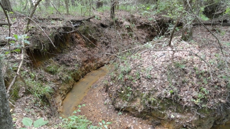 East Texas Hunting/Recreational Property - image 15
