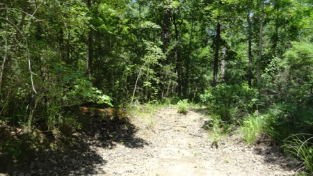 East Texas Hunting/Recreational Property - image 18