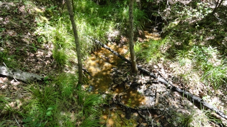 East Texas Hunting/Recreational Property - image 21