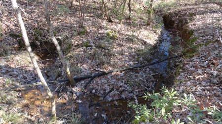East Texas Hunting/Recreational Property - image 6