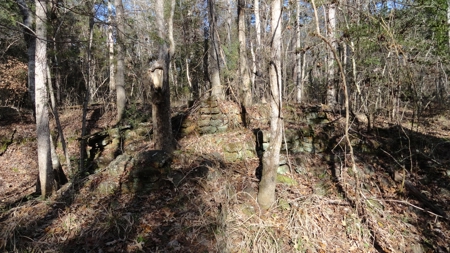 East Texas Hunting/Recreational Property - image 10
