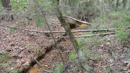 East Texas Hunting/Recreational Property - image 16
