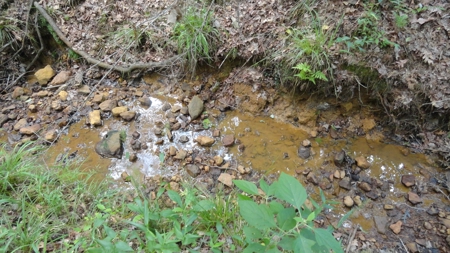 East Texas Hunting/Recreational Property - image 17