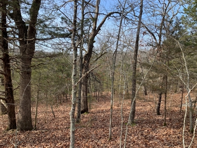 40 Acres with Electricity - image 21