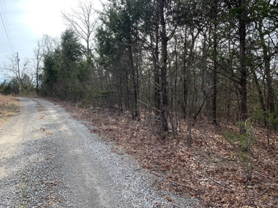 40 Acres with Electricity - image 29