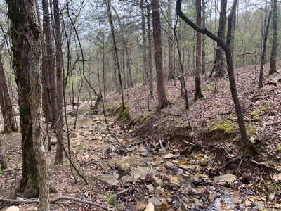 40 Acres with Electricity - image 39