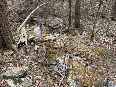 40 Acres with Electricity - image 38