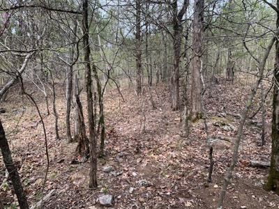 40 Acres with Electricity - image 34