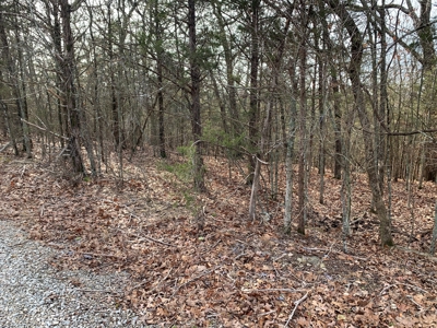 40 Acres with Electricity - image 30