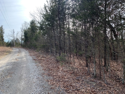 40 Acres with Electricity - image 28