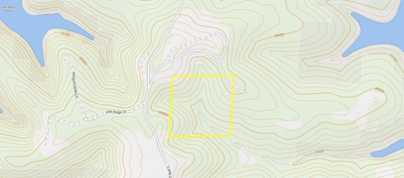 40 Acres with Electricity - image 3