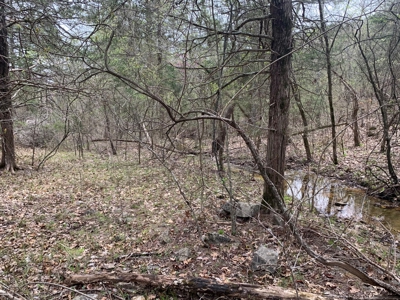 40 Acres with Electricity - image 35