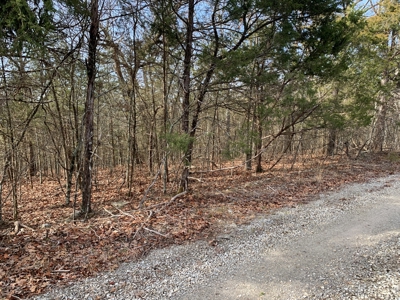 40 Acres with Electricity - image 6