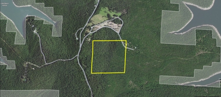 40 Acres with Electricity - image 2