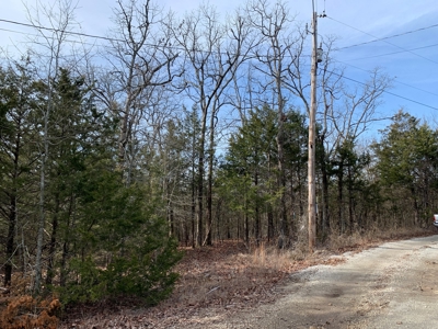 40 Acres with Electricity - image 10