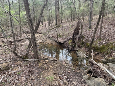 40 Acres with Electricity - image 41