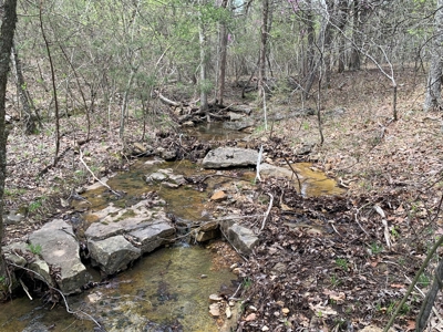 40 Acres with Electricity - image 32
