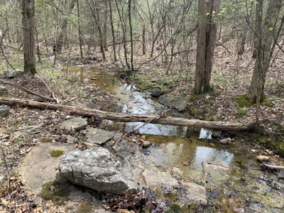 40 Acres with Electricity - image 33