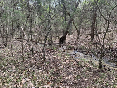 40 Acres with Electricity - image 36