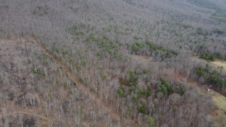Recreational Retreat with Cabin for Sale in Wytheville VA - image 4
