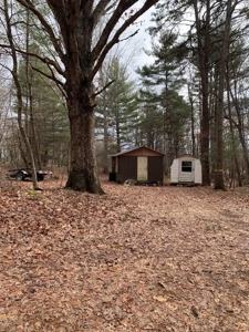 Recreational Retreat with Cabin for Sale in Wytheville VA - image 28