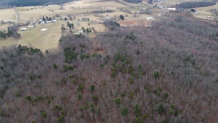 Recreational Retreat with Cabin for Sale in Wytheville VA - image 9