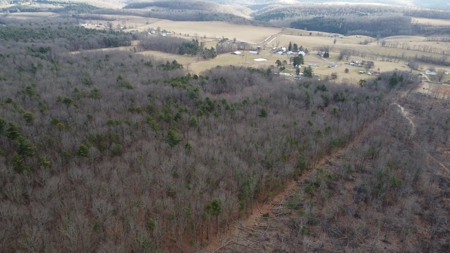 Recreational Retreat with Cabin for Sale in Wytheville VA - image 6