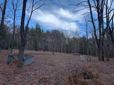 Recreational Retreat with Cabin for Sale in Wytheville VA - image 20