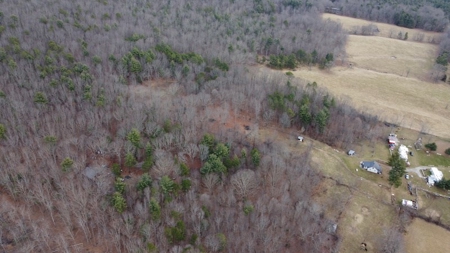 Recreational Retreat with Cabin for Sale in Wytheville VA - image 3