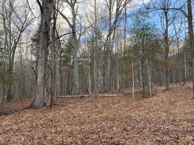 Recreational Retreat with Cabin for Sale in Wytheville VA - image 21