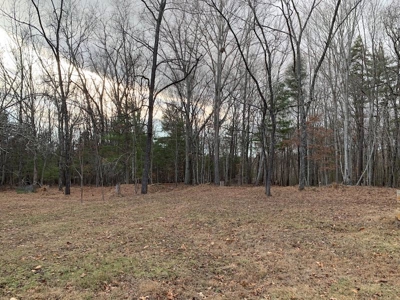 Recreational Retreat with Cabin for Sale in Wytheville VA - image 26