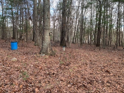 Recreational Retreat with Cabin for Sale in Wytheville VA - image 18