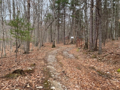 Recreational Retreat with Cabin for Sale in Wytheville VA - image 29
